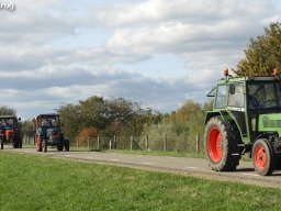 ws 282